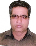 محمدرضا